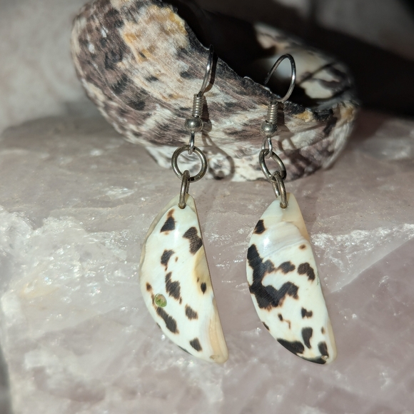 West Indian Magpie shell earrings - handmade in the Caribbean - Picture 9 of 14